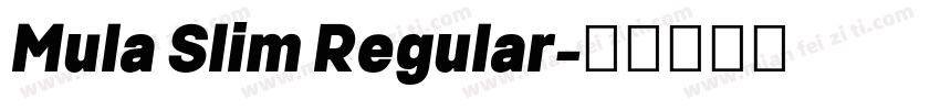 Mula Slim Regular字体转换